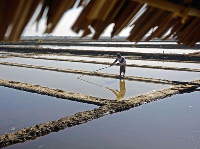 Kemarau Panjang Bikin Warga Maros Ubah Tambak Ikan Jadi Tambak Garam