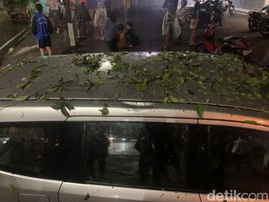 2 Mobil Penyok Tertimpa Pohon Tumbang di Medan, Pemilik Histeris 2 Mobil Penyok Tertimpa Pohon Tumbang di Medan, Pemilik Histeris