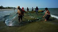 Nelayan Sultra Jaring Ikan untuk Dibagi-bagikan ke Warga