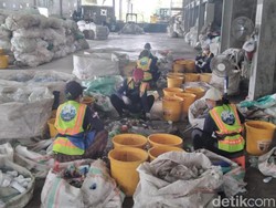 74 Ton Sampah Dikirim dari Desa Kaliakah Jembrana ke Jatim Tiap Bulan