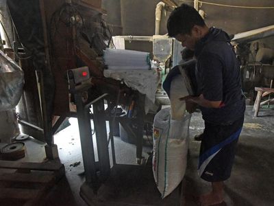 Penggilingan Padi Gigit Jari Gara-gara Kemarau