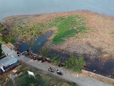 Potret Air Situ Cilodong Depok Menyusut Akibat Kemarau