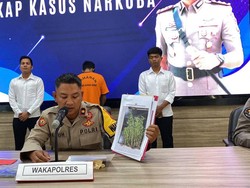 Tanam Ganja di Kebun Milik Ortu, Riko Ngaku Belajar dari Internet