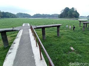 Muncul Dua Wajah Berbeda Saat Waduk Situ Gede Tasik Surut