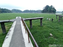 Muncul Dua Wajah Berbeda Saat Waduk Situ Gede Tasik Surut