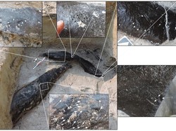 Peninggalan Kayu Tertua Ditemukan di Tepi Sungai, Usia Hampir 500.000 Tahun