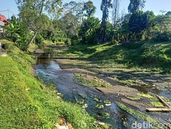 11 Jenis Pola Aliran Sungai, dari yang Sejajar hingga Bercabang