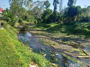 11 Jenis Pola Aliran Sungai, dari yang Sejajar hingga Bercabang 11 Jenis Pola Aliran Sungai, dari yang Sejajar hingga Bercabang