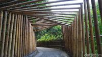 Wisata Tersembunyi di Desa Penglipuran Itu Bernama Hutan Bambu