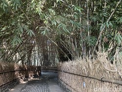 Langkah Pengembangan Desa Penglipuran, SDM Jadi Prioritas