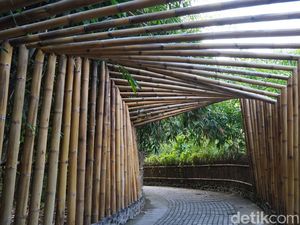 Wisata Tersembunyi di Desa Penglipuran Itu Bernama Hutan Bambu