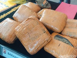 Ditumpuk Ikan Asin, Ganja 10 Kg Diselundupkan dari Medan ke Bandung