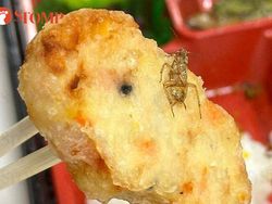 Jijik! Makan Bento Box, Wanita Ini Hampir Telan Seekor Kecoak