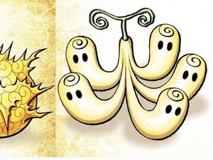 Eiichiro Oda Bocorkan 2 Buah Iblis Terbaru