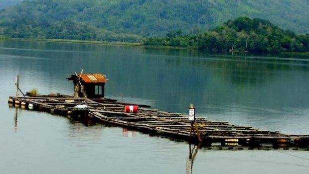 Danau Siais (Foto: https://direktoripariwisata.id)