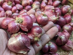 Harga Bawang Merah Tiba-tiba Meroket ke Rp 80.000/Kg, Ini Biang Keroknya!