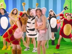 Lirik Lagu JKT48-Kebun Binatang di Saat Hujan