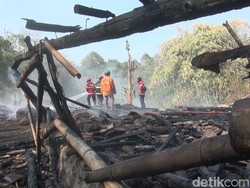 Ditinggal Menggembala Sapi, Kandang Ternak Aepudin Ludes Terbakar