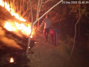 Bukit Giri Menang Terbakar Seluas 2.500 Meter Persegi Bukit Giri Menang Terbakar Seluas 2.500 Meter Persegi