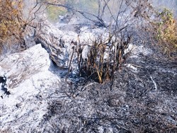 6 Hektare Lahan Terbakar di Karangasem, Damkar Tak Bisa ke Lokasi