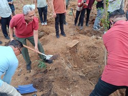Cegah Polusi Perkotaan, KLHK dan Pemkab Tanam Pohon di Bogor