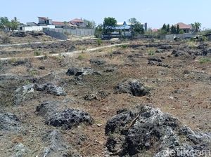 700 Hektare Lahan Pemkot Kupang Belum Bersertifikat 700 Hektare Lahan Pemkot Kupang Belum Bersertifikat