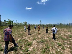 Bocah 7 Tahun Tewas Diserang 2 Anjing Liar di Lombok Tengah