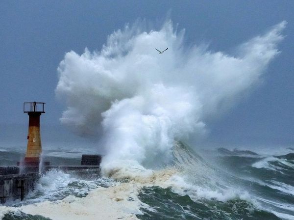 Penampakan Gelombang Besar Hantam Pelabuhan di Cape Town