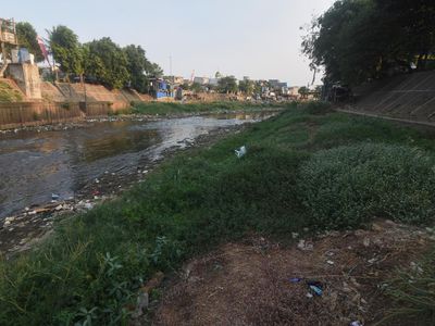Penampakan Kali Ciliwung yang Makin Dangkal Gegara Musim Kemarau Ekstrem!