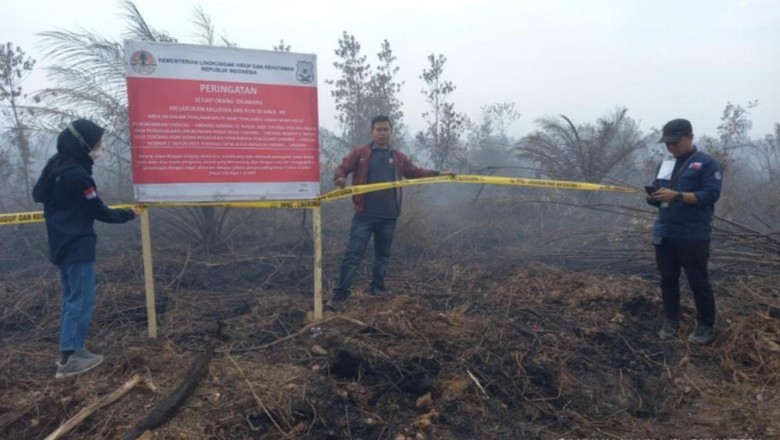KLHK Segel Ribuan Lahan Perusahaan di OKI Buntut Karhutla