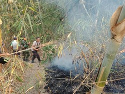Gunung Manglayang Sukabumi Kebakaran Lagi, Situs Hiroshima 2 Terancam