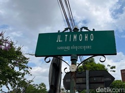 Pohon Timoho: Nama Jalan di Jogja hingga Anggapan Daya Magis Mengikat Orang