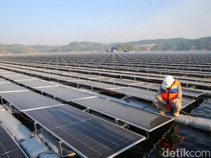 Raksasa Energi Abu Dhabi Mau Bikin Kebun Matahari di IKN Raksasa Energi Abu Dhabi Mau Bikin Kebun Matahari di IKN