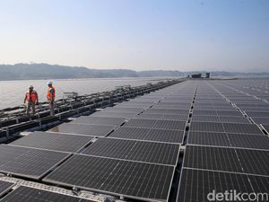 Bos PLN Buka-bukaan Spesifikasi PLTS Terapung Terbesar di ASEAN Rp 1,7 T Bos PLN Buka-bukaan Spesifikasi PLTS Terapung Terbesar di ASEAN Rp 1,7 T