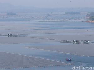 Mendinginkan Bumi Melalui Transisi Energi