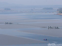 Mendinginkan Bumi Melalui Transisi Energi