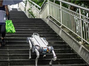 Liburan ke China Nonton Asian Games, Jangan Kaget Lihat Banyak Robot Liburan ke China Nonton Asian Games, Jangan Kaget Lihat Banyak Robot