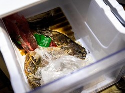 Sampah Makanan di Australia Menumpuk, Supermarket Diminta Perpanjang Masa Kadaluwarsa Produk