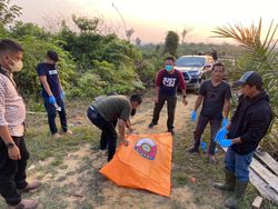 Pria Tebo Ditemukan Hangus Terbakar di Lahan Bekas Karhutla