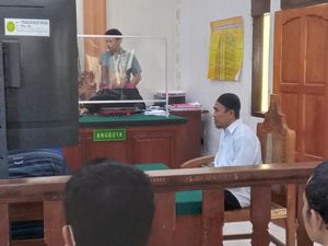 Selundupkan 12 Penyu Hijau ke Bali, Poniman Terancam 5 Tahun Bui