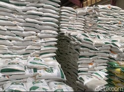 Bulog Sumut Pastikan Stok Beras Aman saat Salurkan Bantuan ke Masyarakat