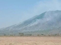 4 Hal Diketahui soal Kebakaran di Taman Nasional Baluran Situbondo