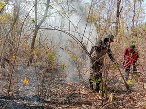 Hutan TN Baluran Terbakar Lebih dari 160 Hektar Hutan TN Baluran Terbakar Lebih dari 160 Hektar