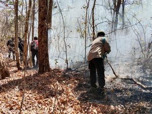 Taman Nasional Baluran Situbondo Ditutup Imbas Kebakaran Hutan Taman Nasional Baluran Situbondo Ditutup Imbas Kebakaran Hutan