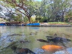 Sejuknya Umbul Nogo Manyaran, Spot Healing Ramah Kantong di Wonogiri
