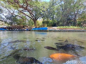 Sejuknya Umbul Nogo Manyaran, Spot Healing Ramah Kantong di Wonogiri Sejuknya Umbul Nogo Manyaran, Spot Healing Ramah Kantong di Wonogiri