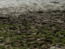 Munculnya Binatang Melata pada Waktu Dhuha Jadi Tanda Kiamat