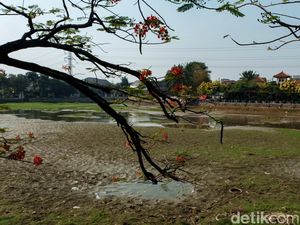 BMKG Prediksi Puncak Kemarau 2024 Juli-Agustus BMKG Prediksi Puncak Kemarau 2024 Juli-Agustus