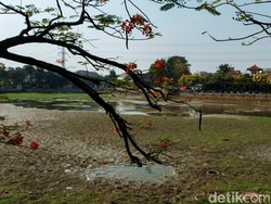 BMKG Prediksi Puncak Kemarau 2024 Juli-Agustus