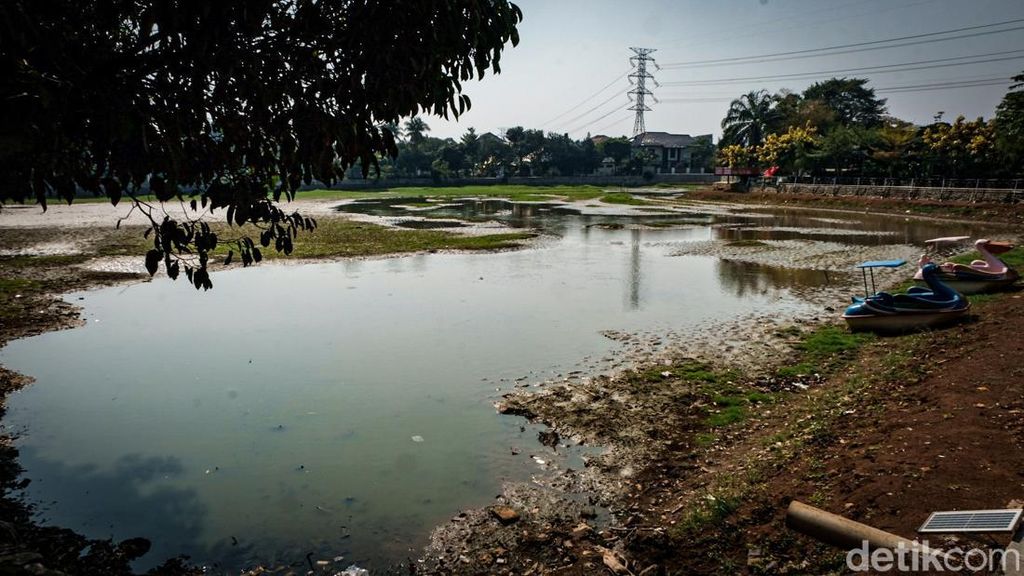 Danau Cinere Kering Imbas Kemarau, Ikan Mati-Tanah Retak Danau Cinere Kering Imbas Kemarau, Ikan Mati-Tanah Retak
